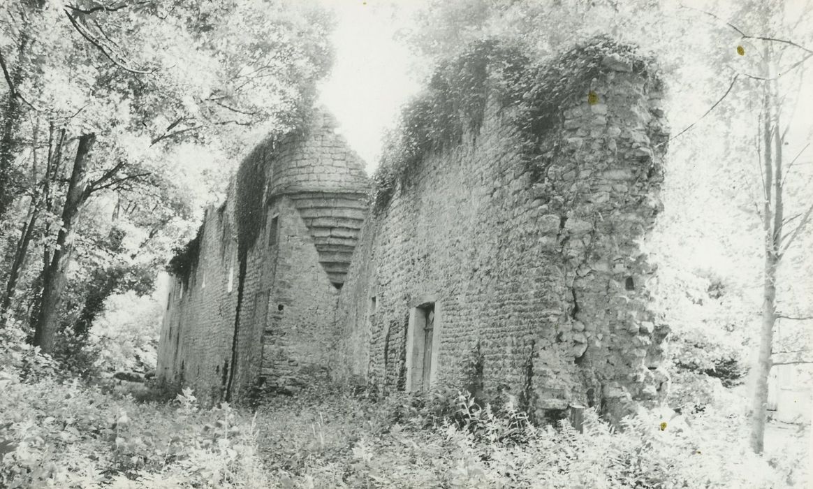 Château : Vestiges de l’ancienne enceinte, vue partielle