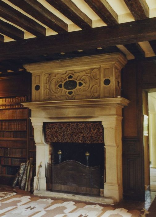 Château de Bois-le-Roi : Rez-de-chaussée, cheminée monumentale, vue générale