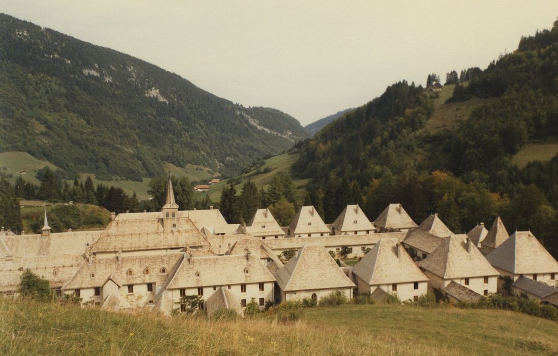 Ancienne chartreuse : Vue partielle de la chartreuse dans son environnement depuis le Sud