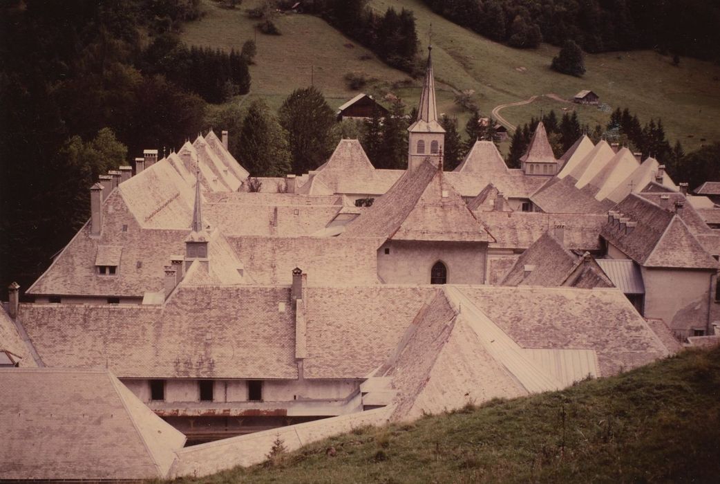 Ancienne chartreuse : Vue partielle de la chartreuse depuis l’Ouest