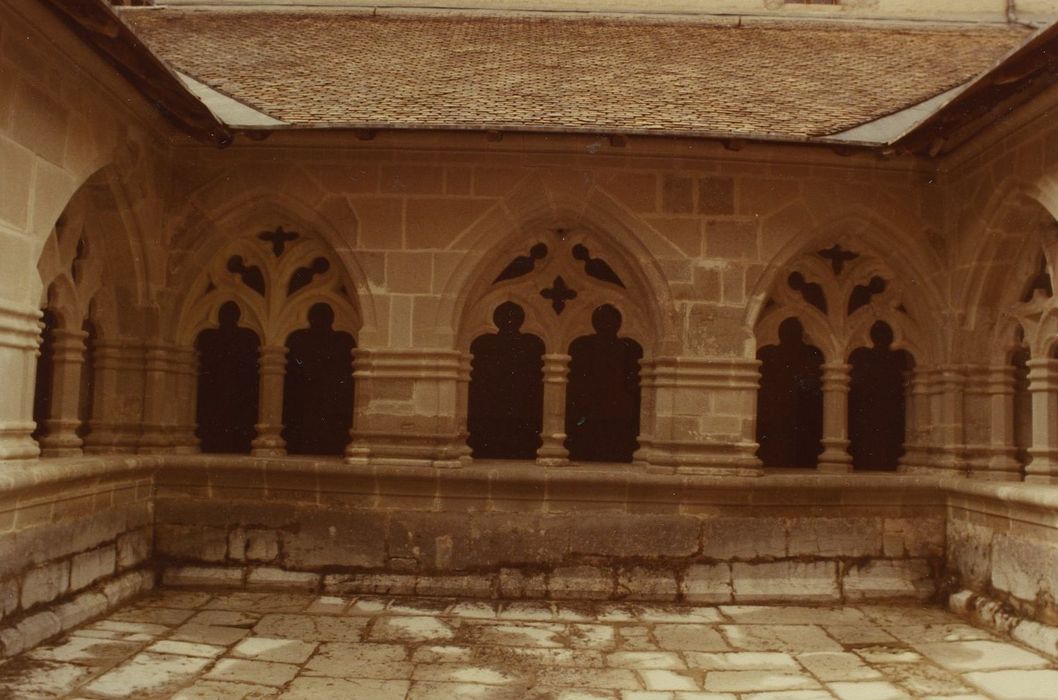 Ancienne chartreuse : Grand cloître, vue partielle