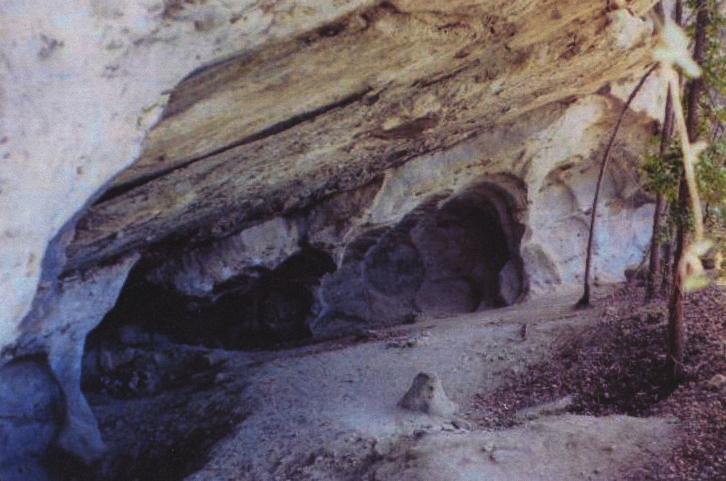 Carrières de meules de moulins ou meulières : Vue partielle du site