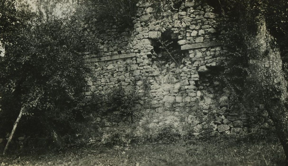 Abbaye : Vue partielle des ruines