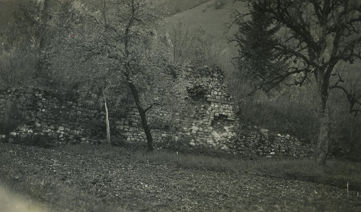 Abbaye : Vue partielle des ruines