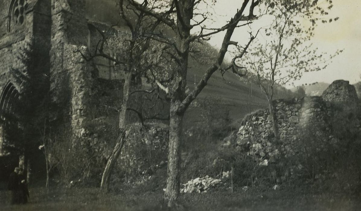 Abbaye : Vue partielle des ruines