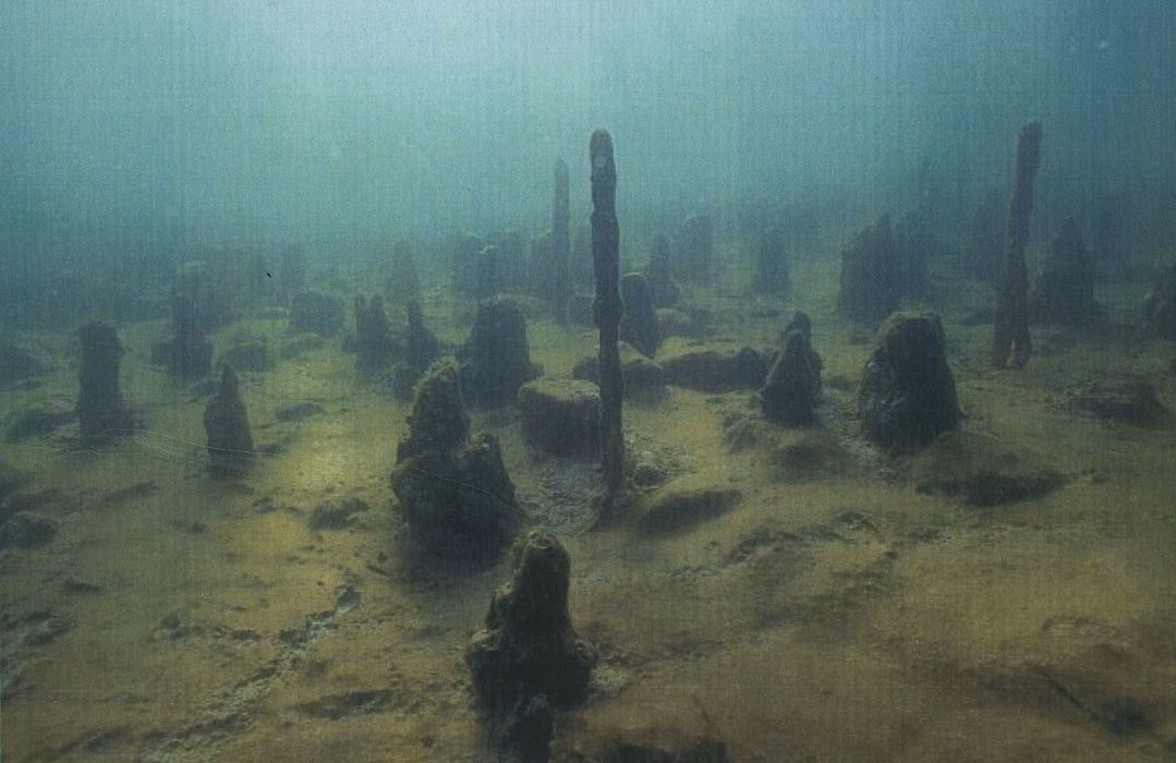 Site archéologique du Crêt-de-Chatillon immergé dans le lac d'Annecy, vue partielle