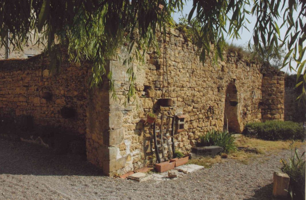 Ancien château : mur de clôture sud, élévation sud, vue pgénérale