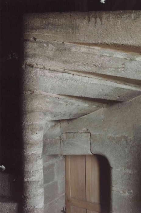 Ancien château : escalier à vis non localisé, vue partielle