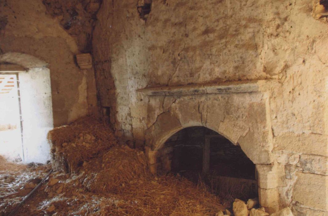 Ancien château : pièce non localisée, cheminée monumentale, vue générale