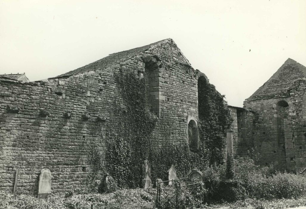 Ancienne église Saint-Pierre : mur gouttereau interne nord, vue générale