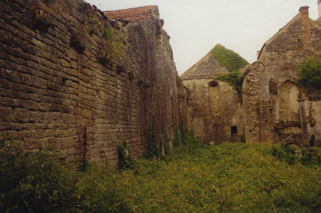 Ancienne église Saint-Pierre : nef, vue générale