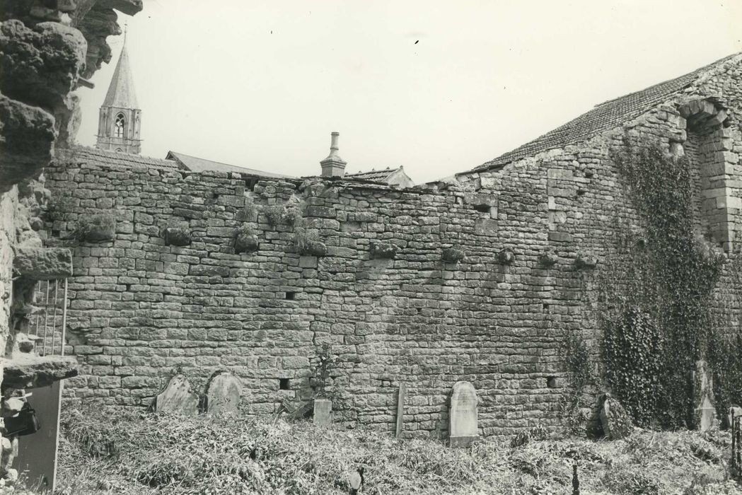 Ancienne église Saint-Pierre : mur gouttereau interne nord, vue partielle