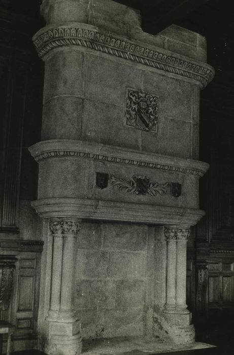 Château : salle des Adhémar, cheminée monumentale, vue générale