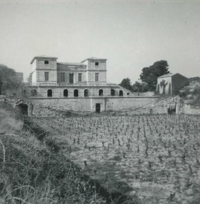 Château de la Garenne : vue générale du château depuis le Sud