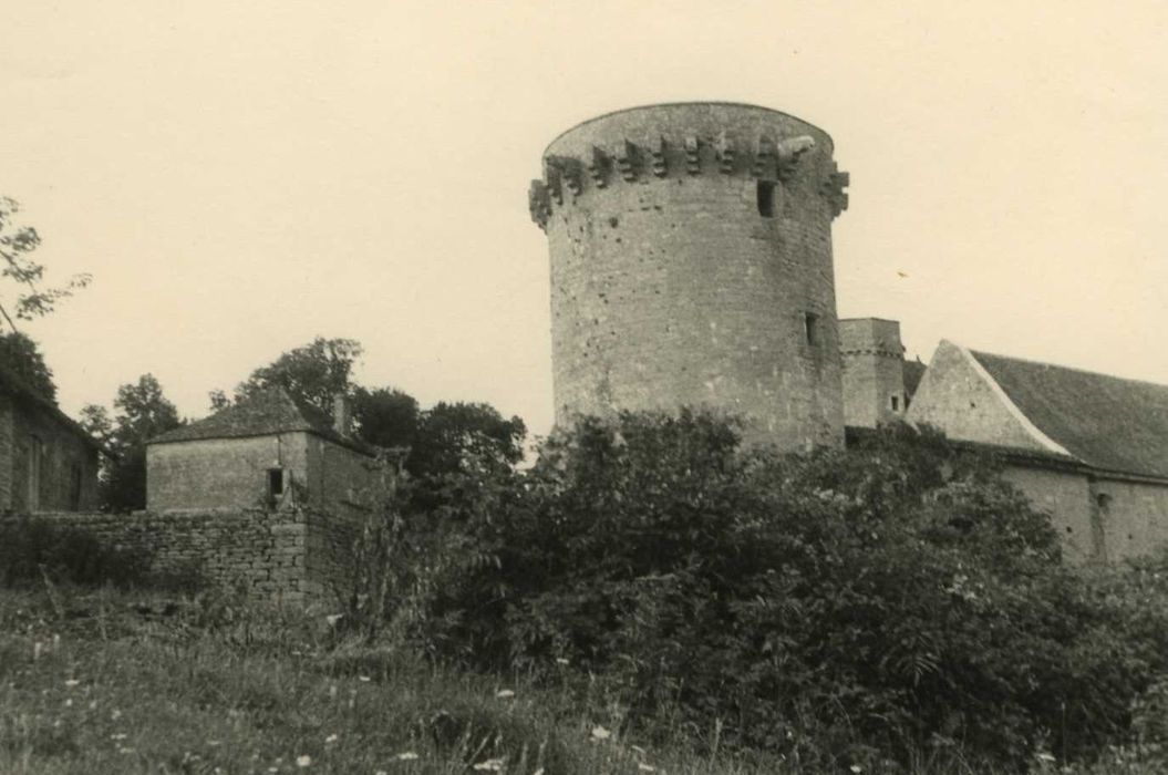 Château : donjon, vue générale