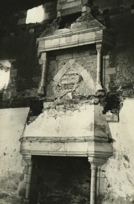 Château : tour carrée, cheminées monuementales, vue générale