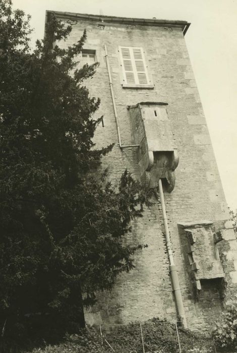 Château : tour carrée, élévation sud, vue générale