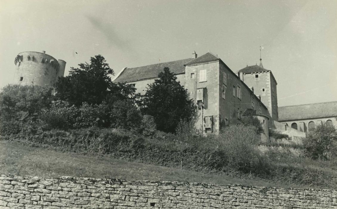 Château : vue partielle du château dans son environnement depuis le Sud-Est