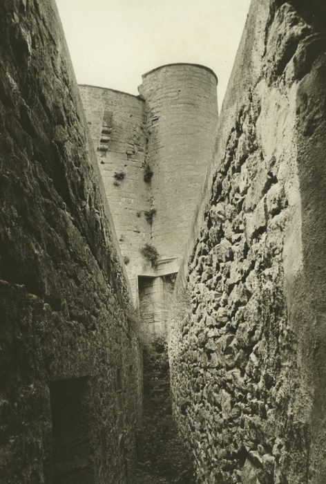 Château : chemin de ronde de la courtine sud, vue partielle