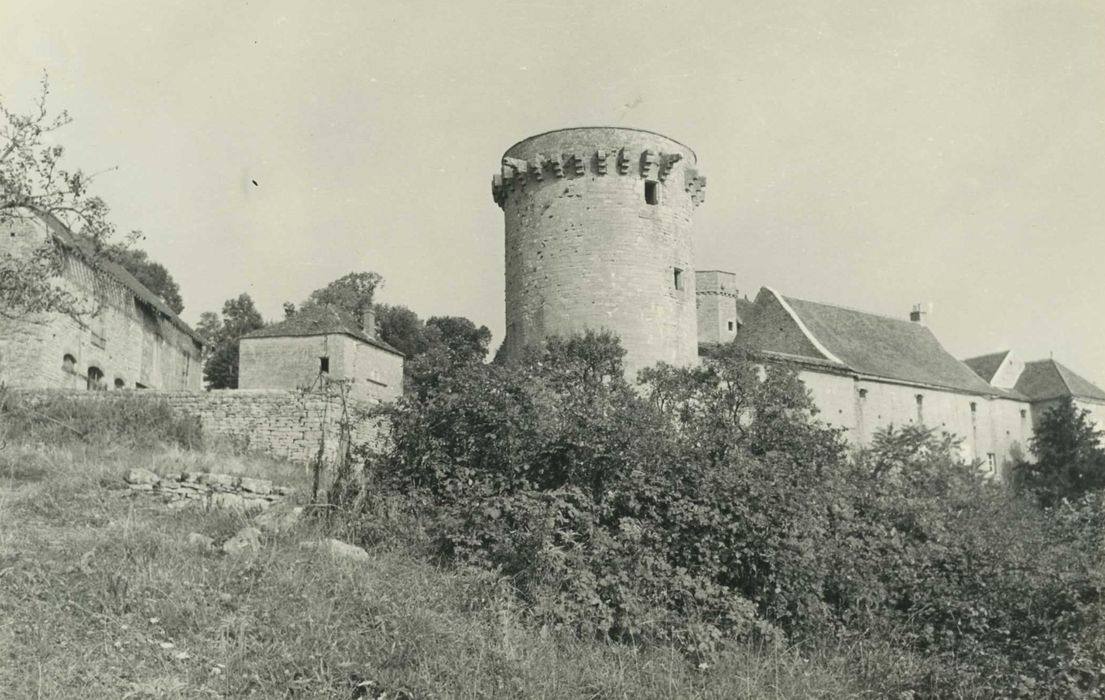 Château : donjon, vue générale