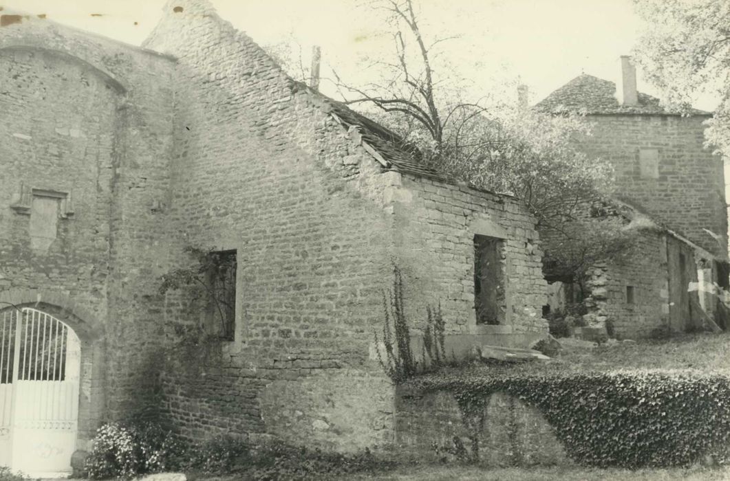 Château : ancien mur de la courtine nord, vue partielle