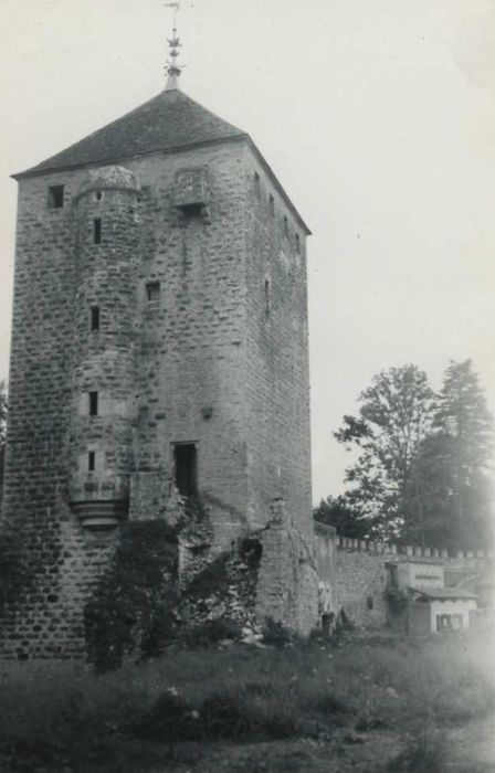 Château : donjon, élévation ouest, vue générale