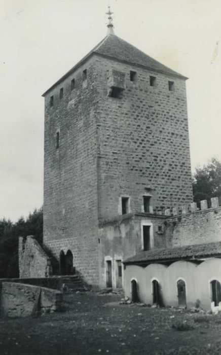 Château : donjon, élévation sud et est, vue générale