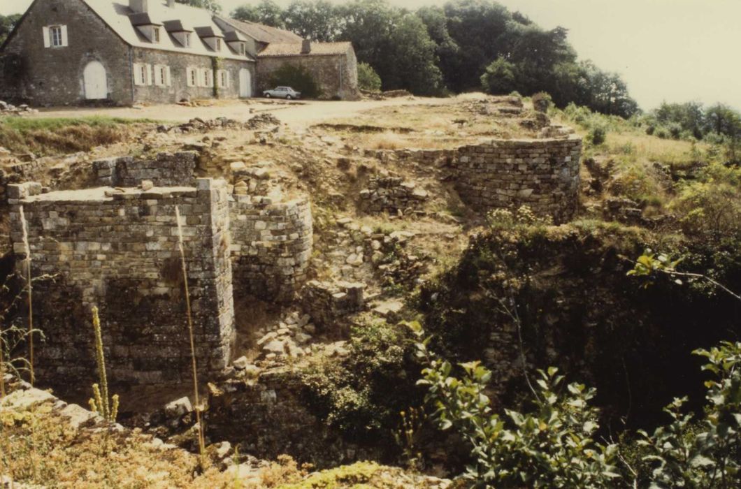 Vestiges du château : vue partielle du site depuis l’angle ouest