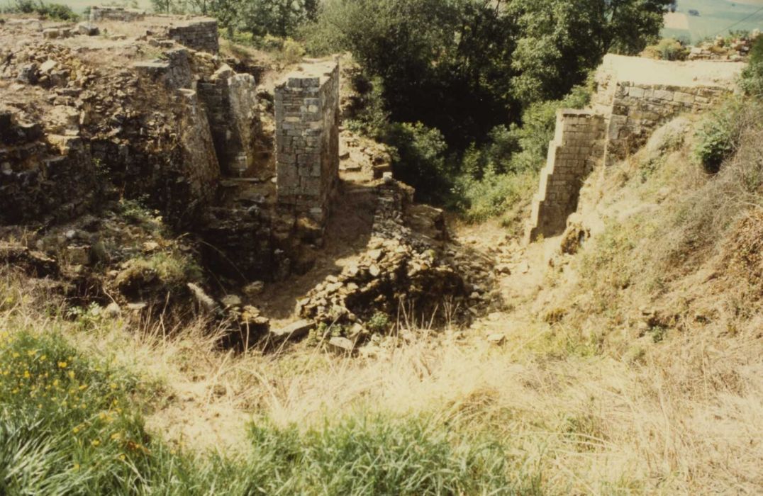 Vestiges du château : fossé ouest, vue partielle