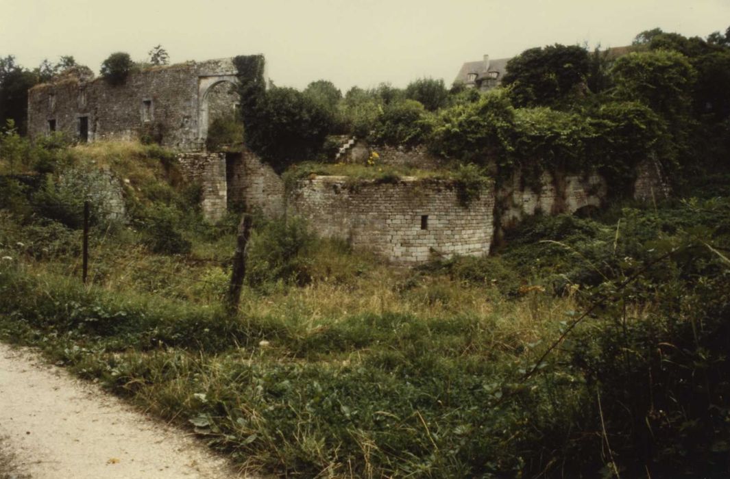 Vestiges du château : basse-cour depuis l’angle sud, vue générale