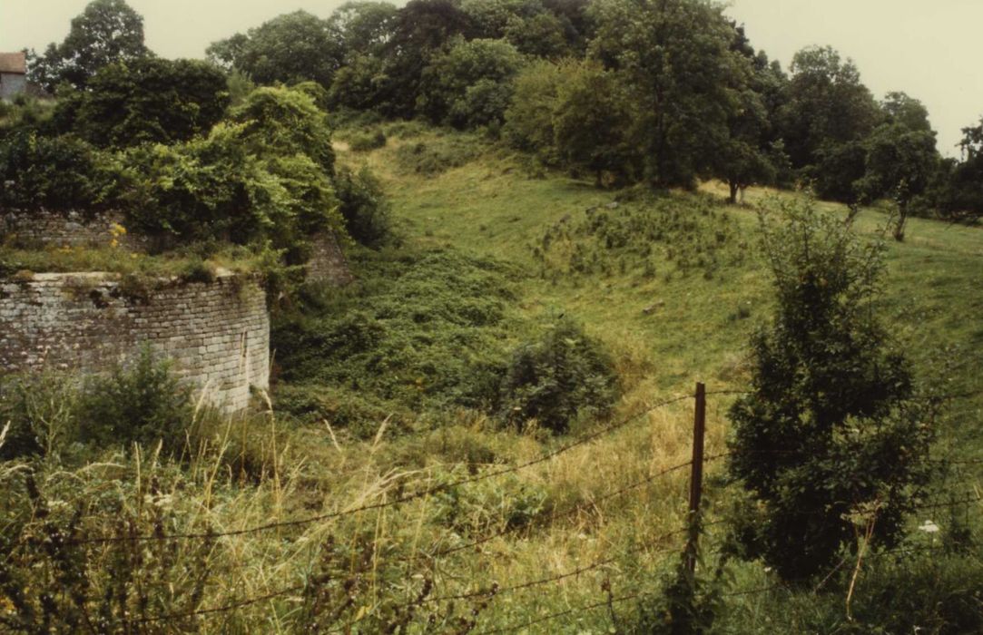 Vestiges du château : fossé est, vue générale