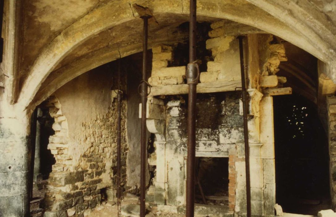 Vestiges du château : logis est, rez-de-chaussée, cheminée monumentale, vue générale