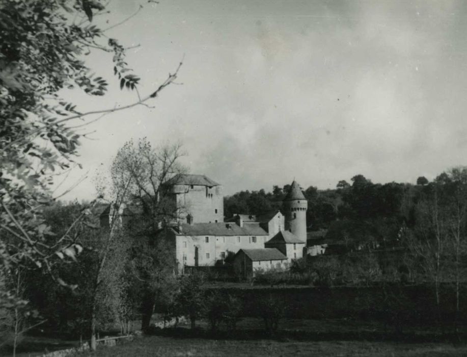 vue générale du château dans son environnement depuis l’Est