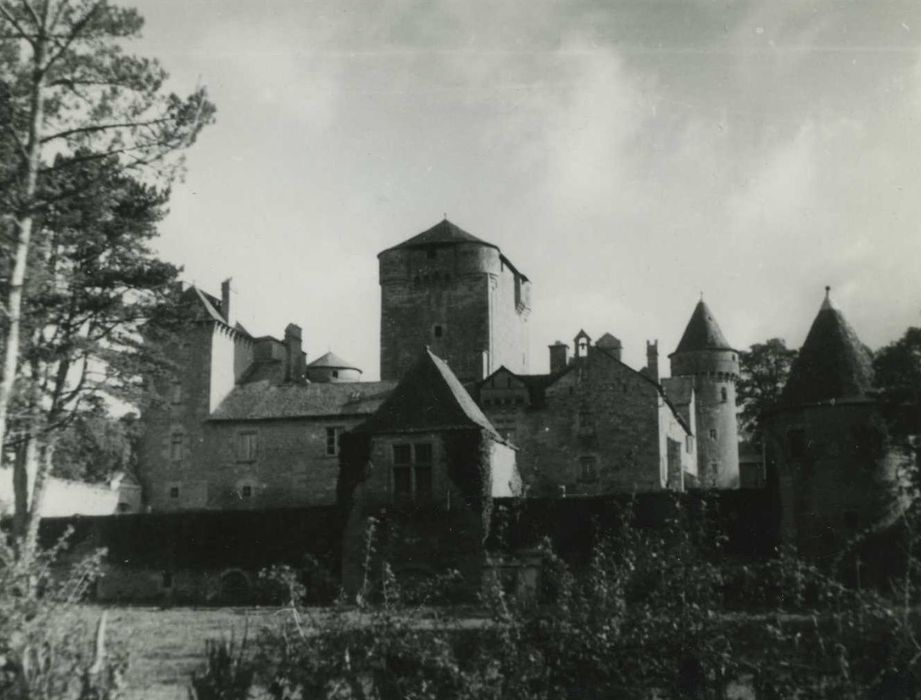 ensemble ouest du château, vue générale