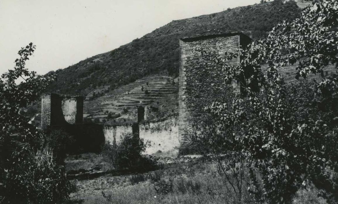 vue générale du château dans son environnement depuis le Sud