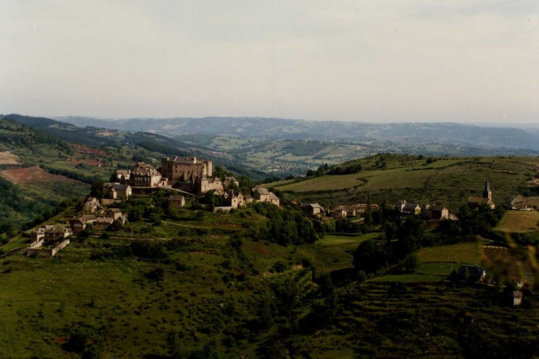 vue générale du château dans son environnement depuis le Sud