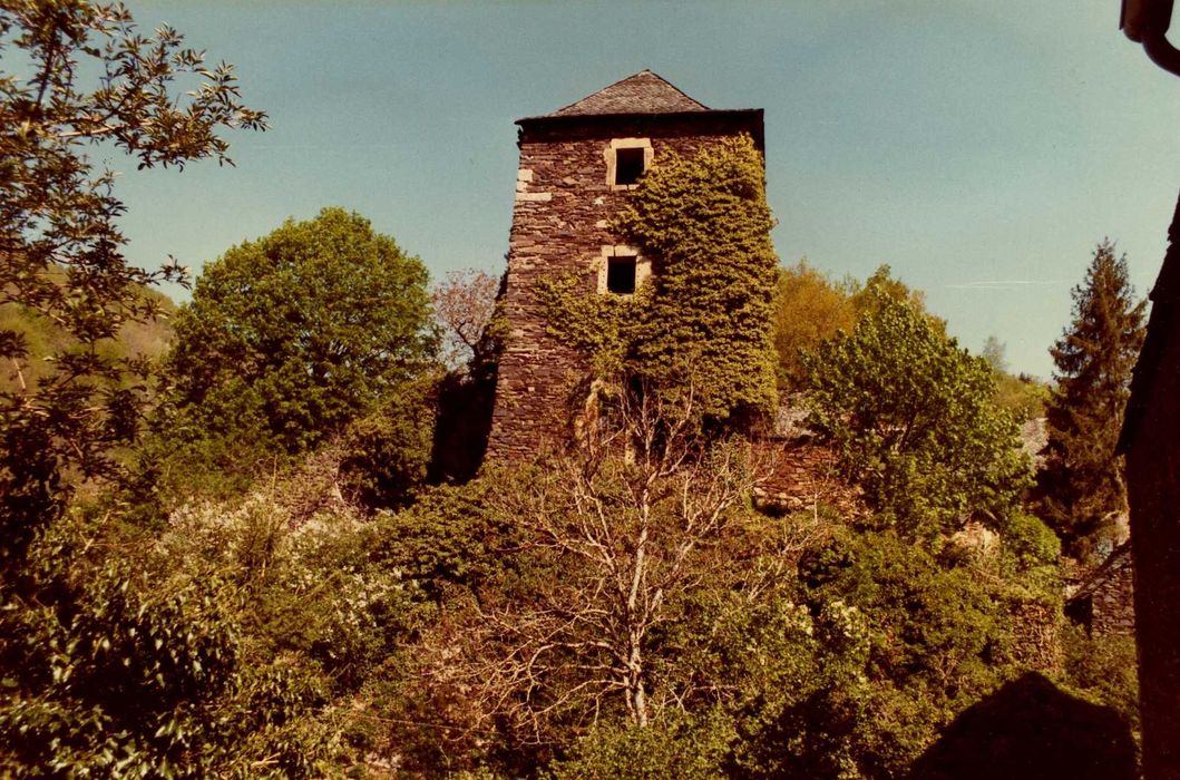 tour ruinée, élévation ouest, vue générale