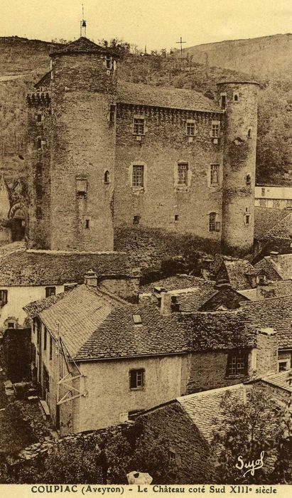 vue générale du château dans son environnement depuis le Sud-Est