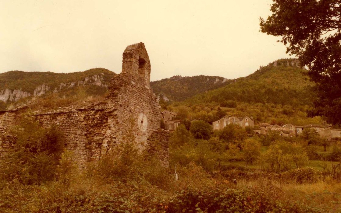 vue partielle des ruines de l’église dans leur environnement depuis le Nord