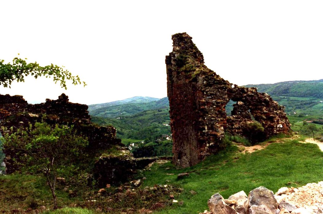 vue partielle des ruines (tour Longe et citerne)