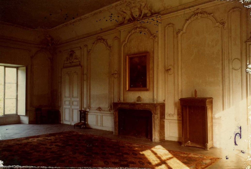 grand salon, vue partielle des lambris de revêtement