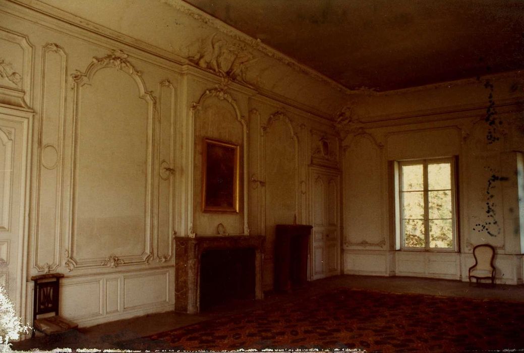 grand salon, vue partielle des lambris de revêtement