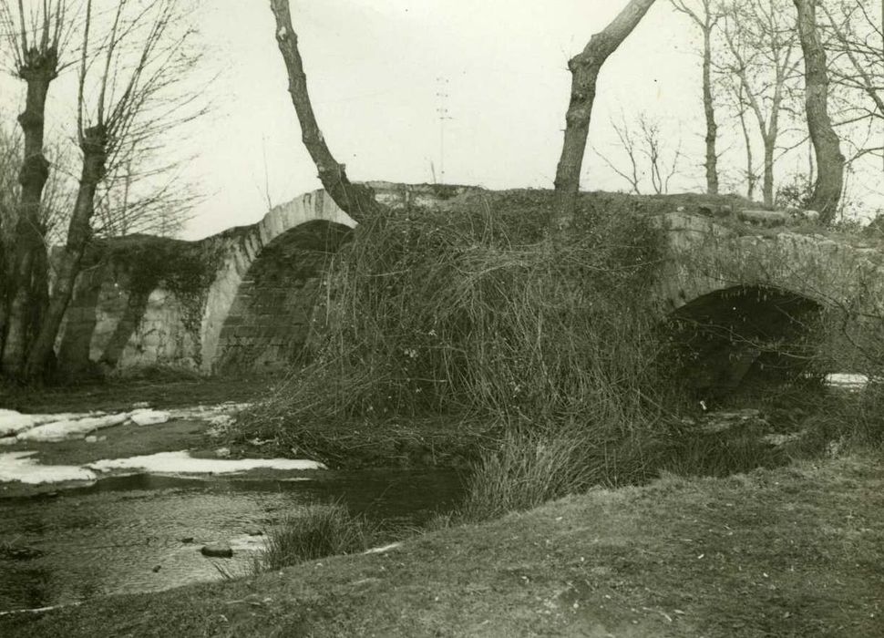 élévation ouest, vue générale