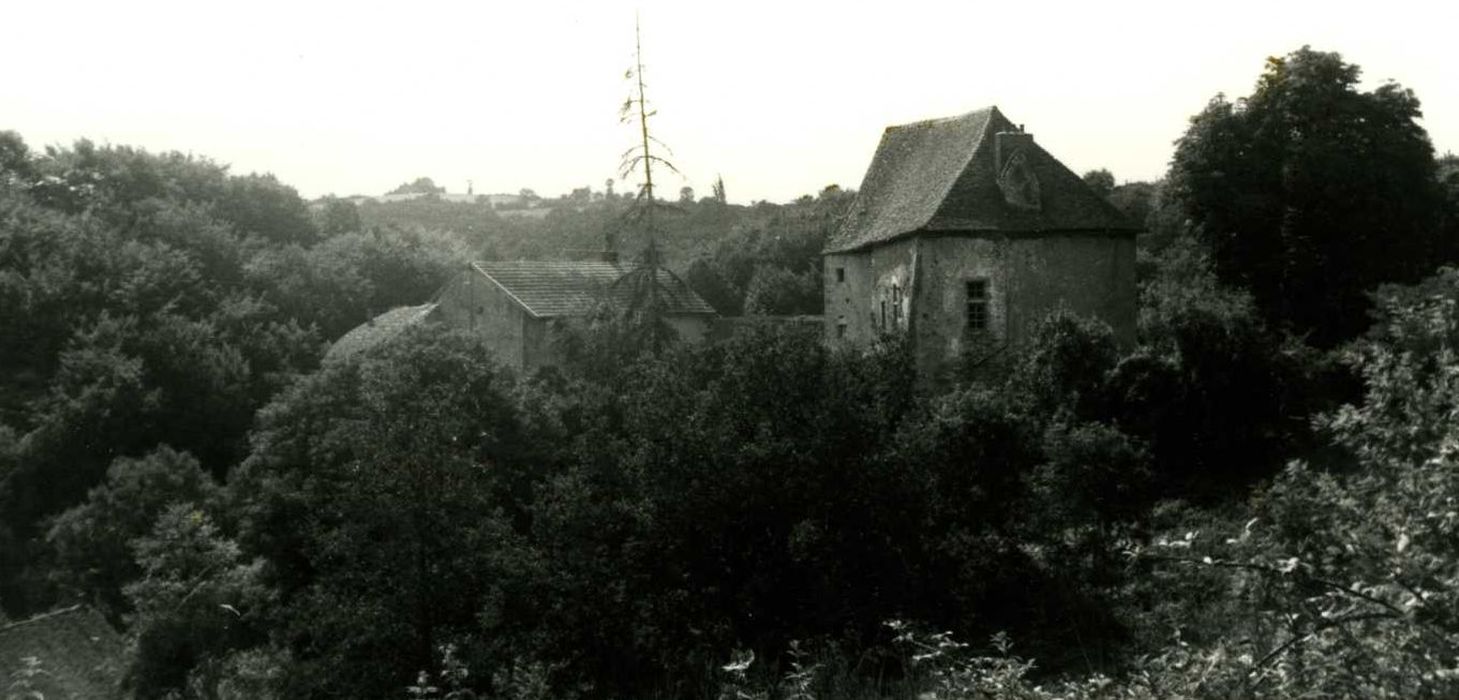 vue générale du château dans son environnement depuis l’Est