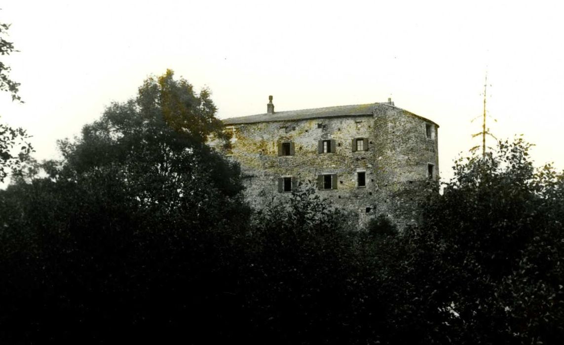 vue générale du château dans son environnement depuis le Sud-Ouest