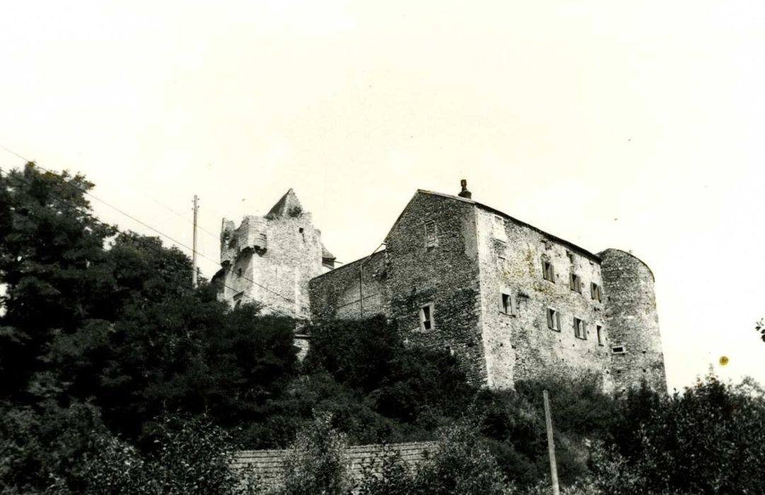 vue générale du château dans son environnement depuis le Sud-Ouest