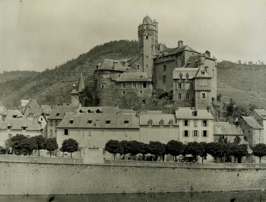 vue générale du château dans son environnement depuis le Sud