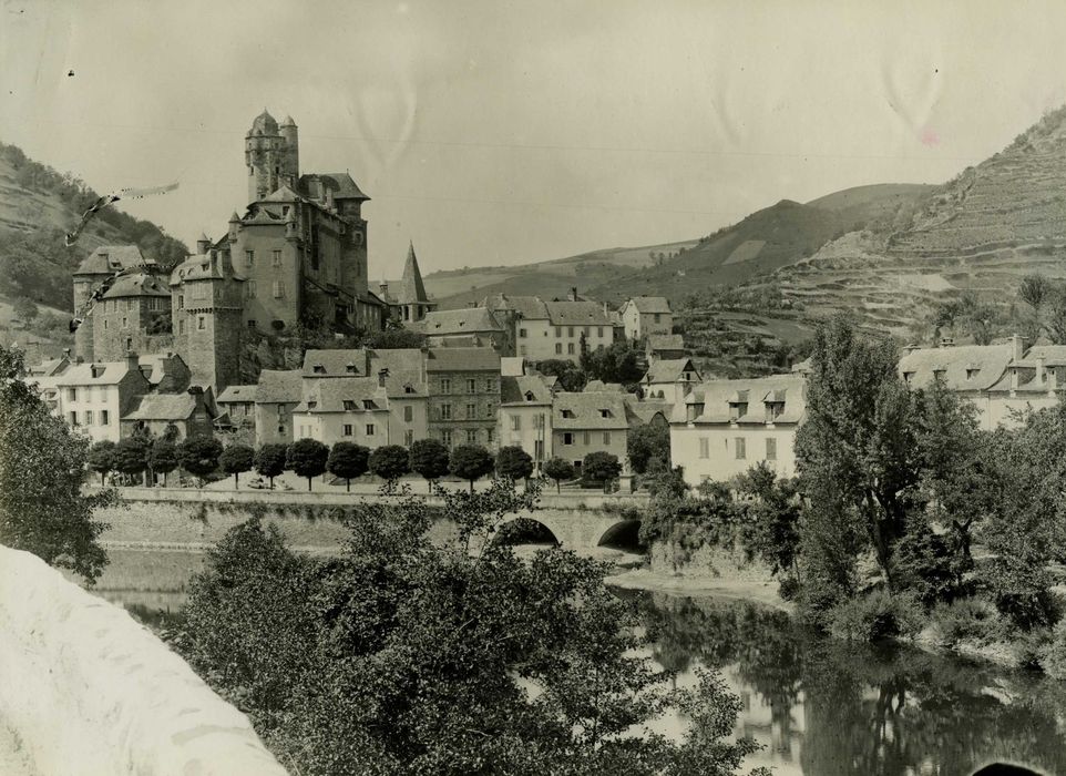 vue générale du château dans son environnement depuis le Sud-Est