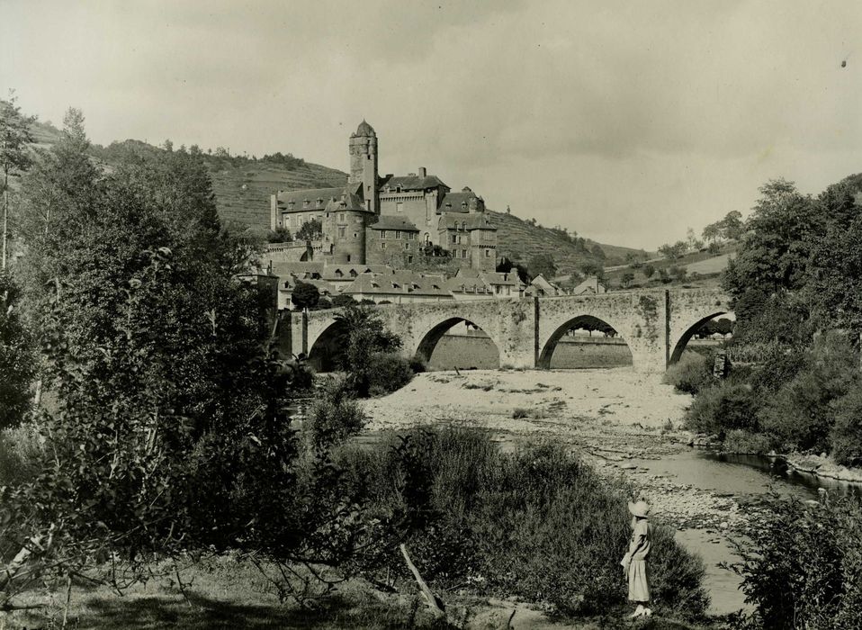 vue générale du château dans son environnement depuis le Sud-ouest