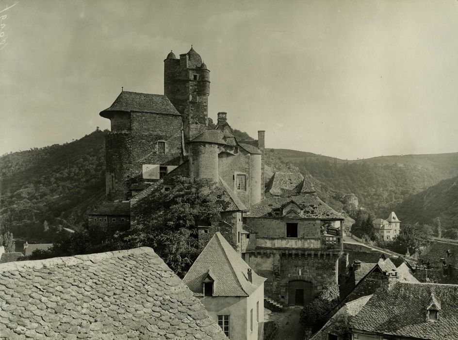 vue générale du château dans son environnement depuis le Nord-Est